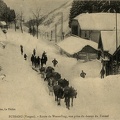 Col-de-Bussang-convoi-de-mulet-1908