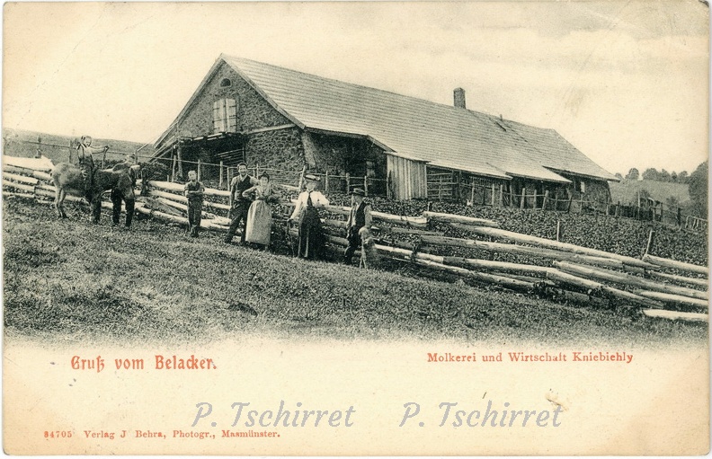 Ferme-du-Belacker-Kniebiehly-1910-r