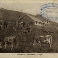 Drumont-ferme-1921-1