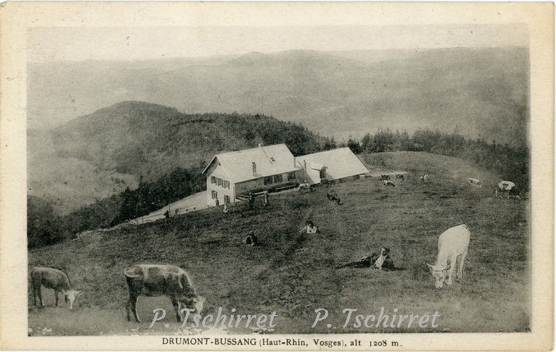 Drumont-ferme-Lutenbacher-1925-r
