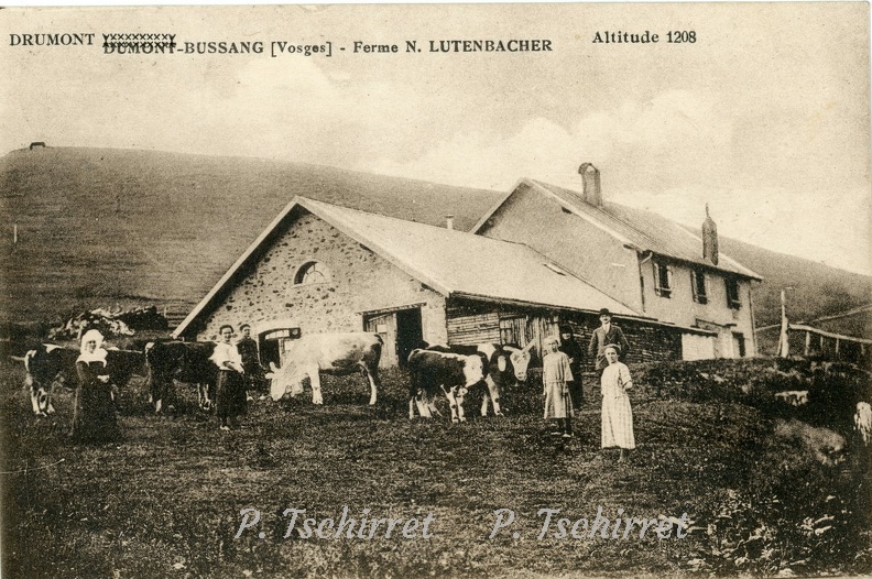 Drumont-ferme-Lutenbacher-1928-r