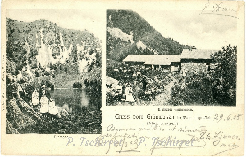 Ferme-Gazon-Vert-Kragen-Alexandre-1905-r.jpg