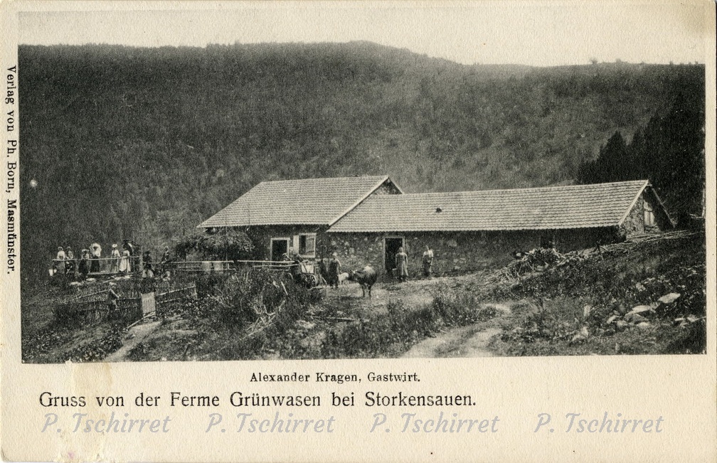 Ferme-du-Gazon-Vert-1905