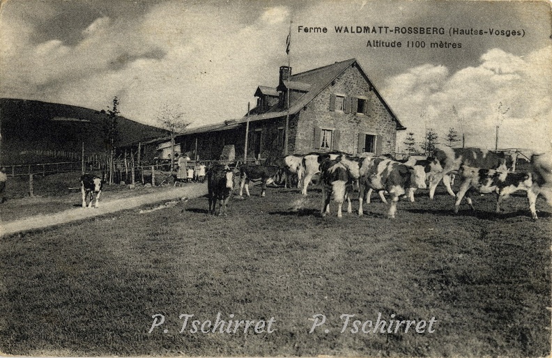Rossberg-ferme-Waldmatt-1922-1