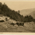 Ferme-Rothenbach-ancienne-Leibelthal-1925-r