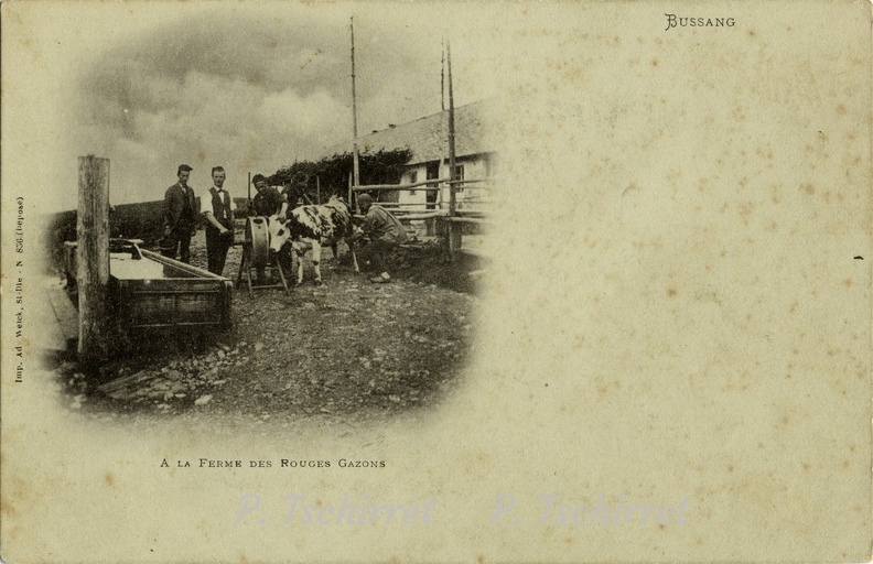 Ferme-du-Rouge-Gazon-1900