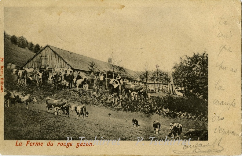 Ferme-du-Rouge-Gazon-1903