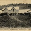 Ferme-du-Rouge-Gazon-1911