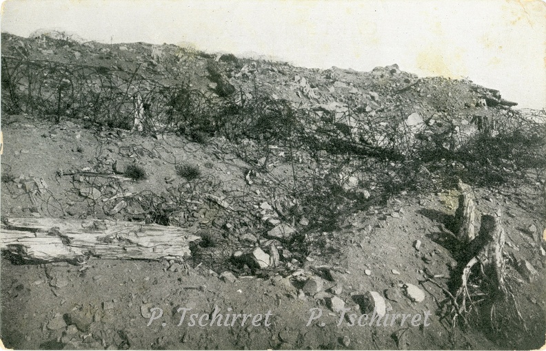 09-N10-Hartmannswillerkopf-cote-francais-Fil-de-fer-barbeles-au-sommet-1914_r.jpg