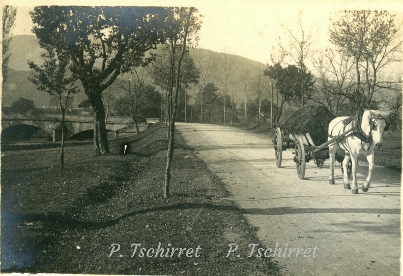 11-Wesserling-cheval-attele-chariot-charge-de-terre-r-1.jpg