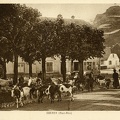 Oderen-troupeau-de-chevres-1930-r