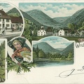 Wildenstein-Gruss-1900