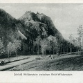 Wildenstein-vue-chateau-1914-1