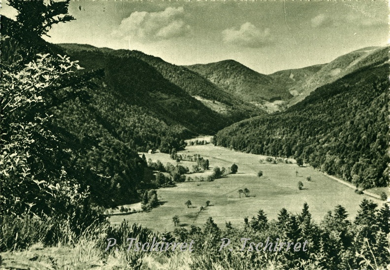 Wildenstein-vue-sur-les-pres-avant-le-lac-du-Schlosberg-1950.jpg