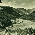 Wildenstein-vue-sur-les-pres-avant-le-lac-du-Schlosberg-1950