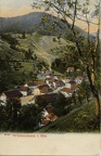 Wildenstein-vue-village-et-Hasenloch-1905