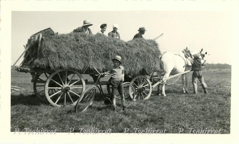 05-Wittenheim-27-08-1936-La-rentree-du-reguin-r