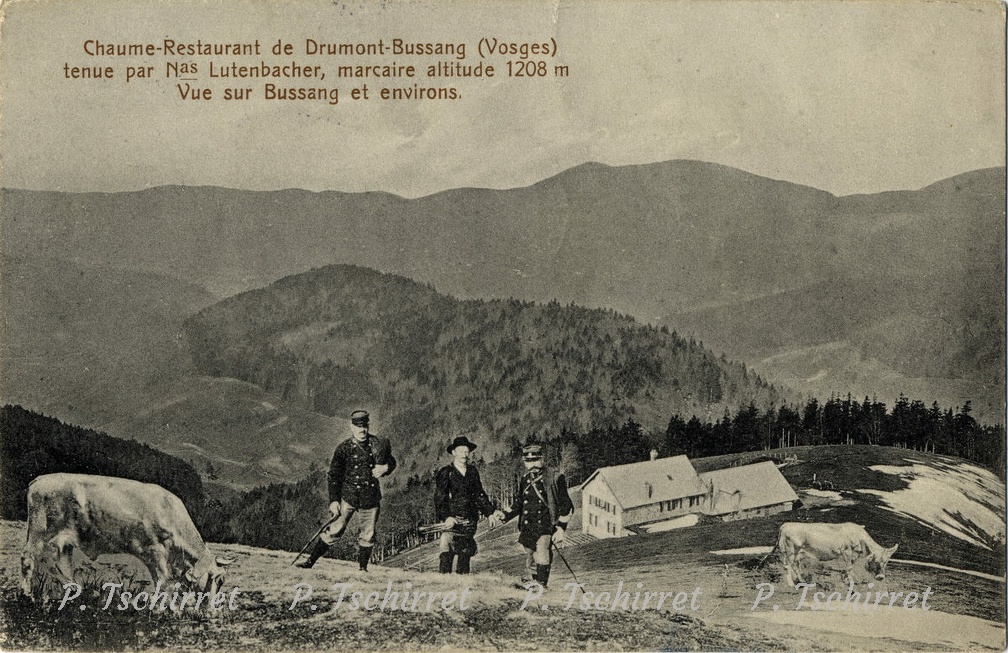 Drumont-ferme-1914-5