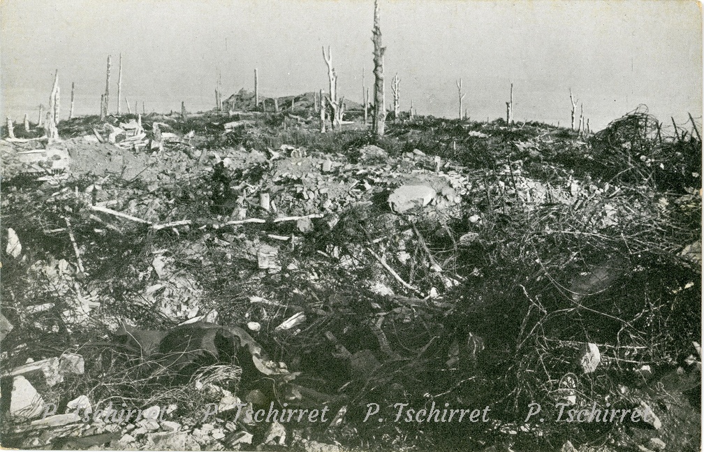 13-N14-Hartmannswillerkopf-cote-francais-Fil-de-fer-barbeles-au-sommet-1914 r