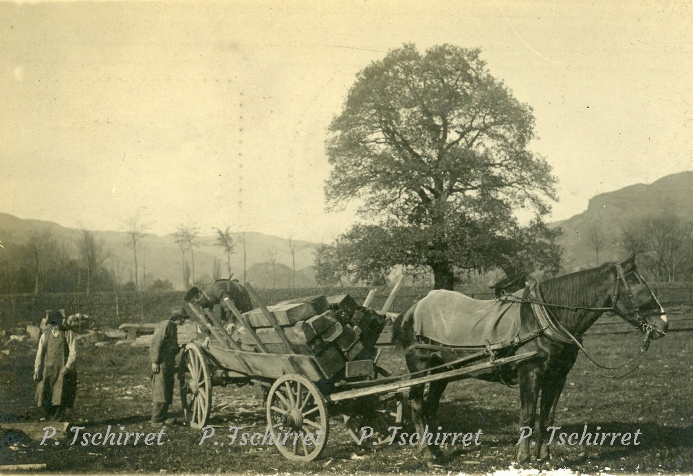04-Wesserling-cheval-ramassage-poutres-r-1
